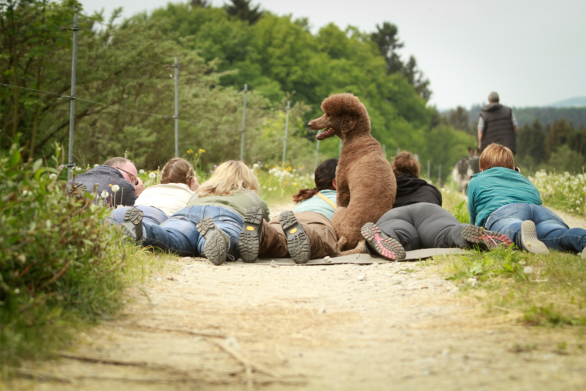 Praxisnahes Coaching Hundefotografie mit Fotografen bei einem Outdoor-Shooting
