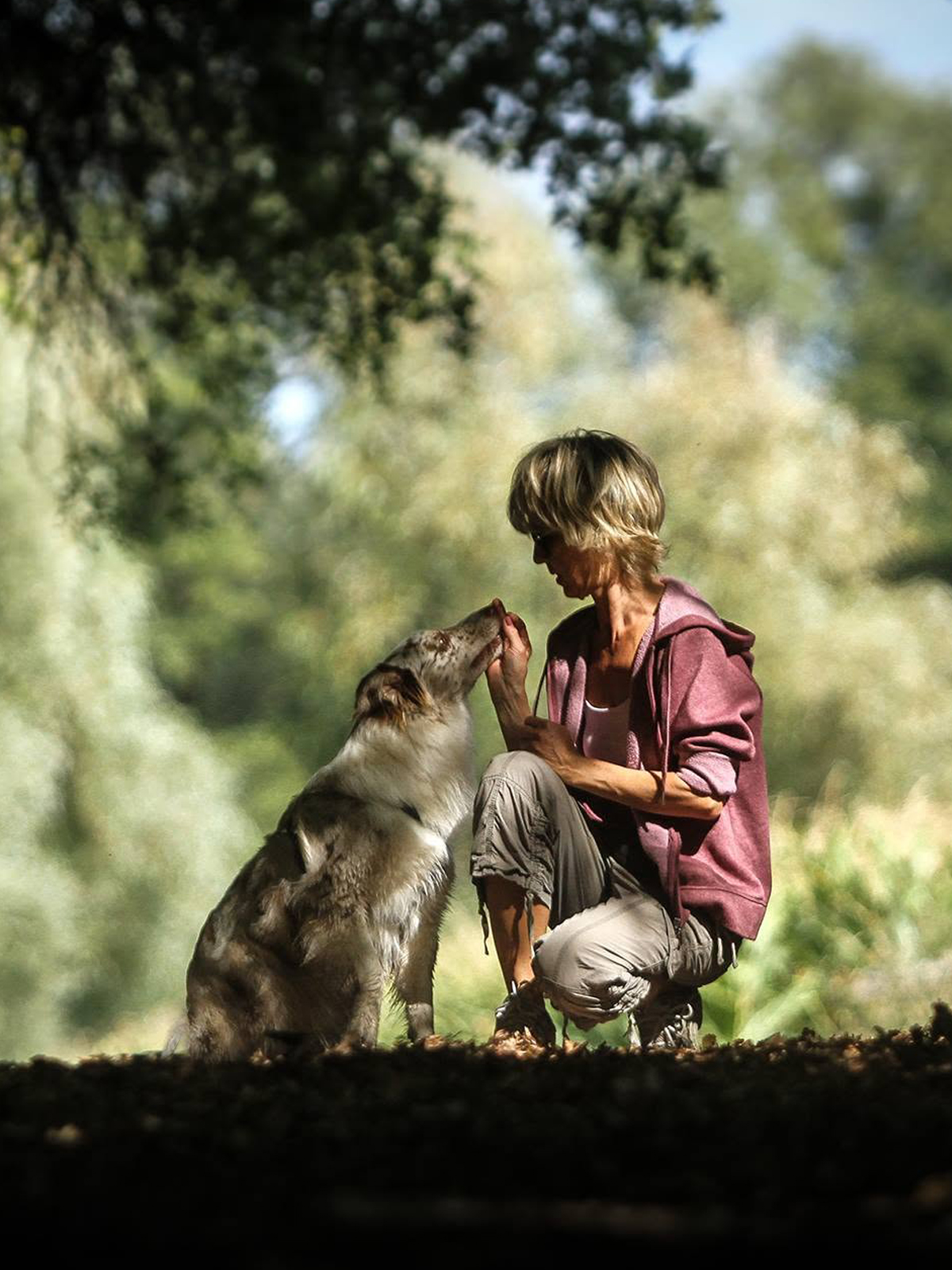 Hundeshooting Ablauf