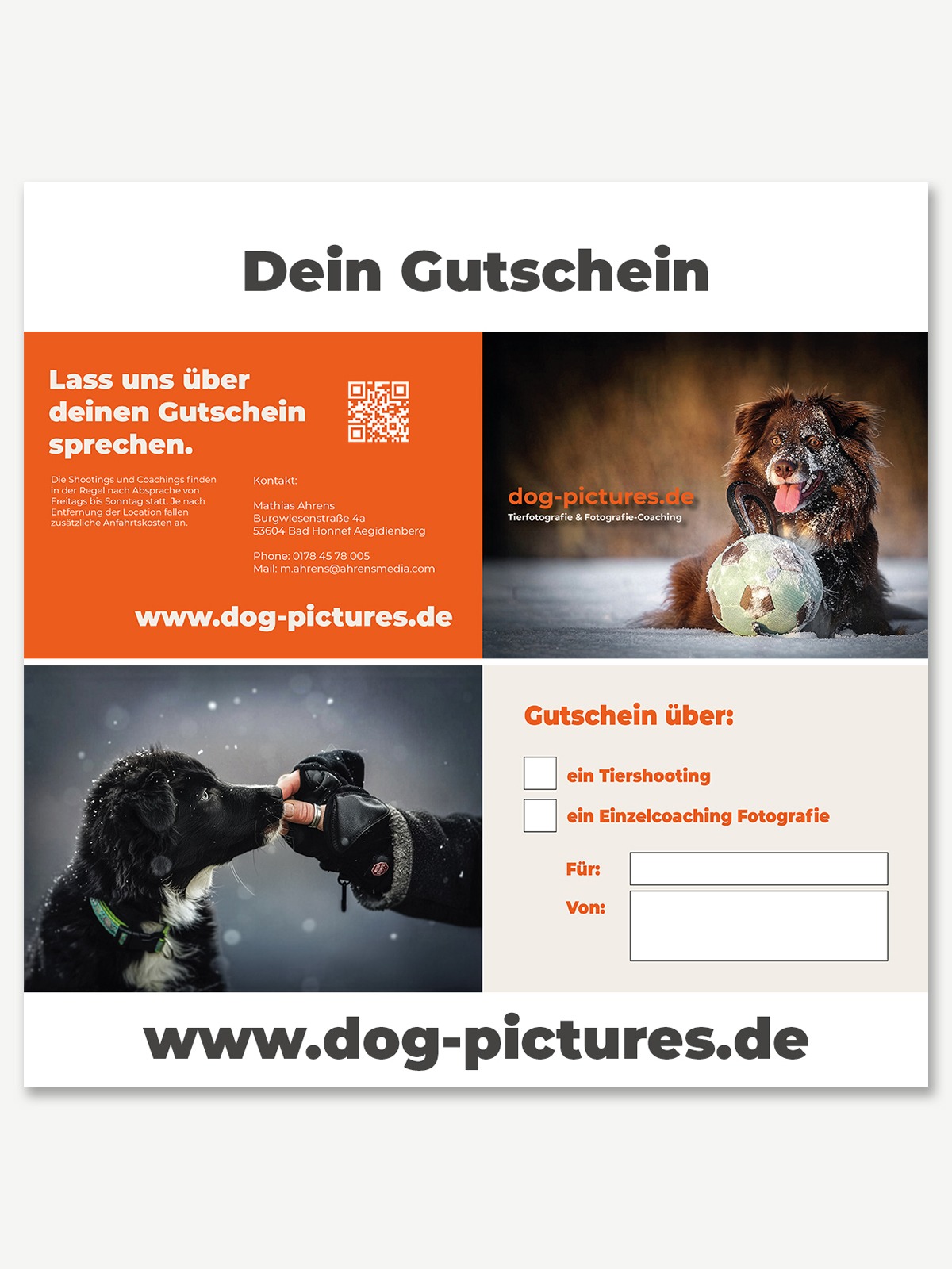 Dog Pictures Gutschein für ein Tiershooting oder Fotografie-Coaching